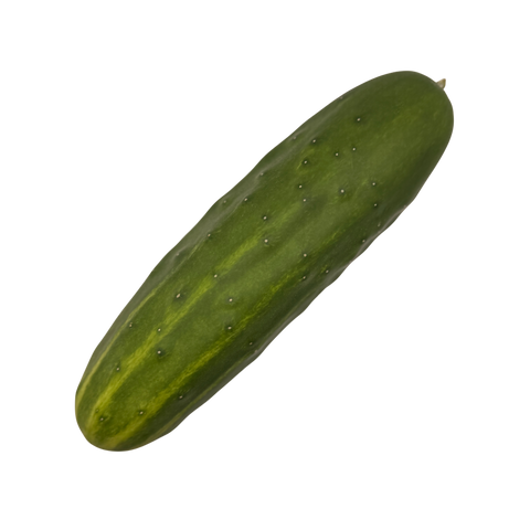 Heirloom Cucumbers
