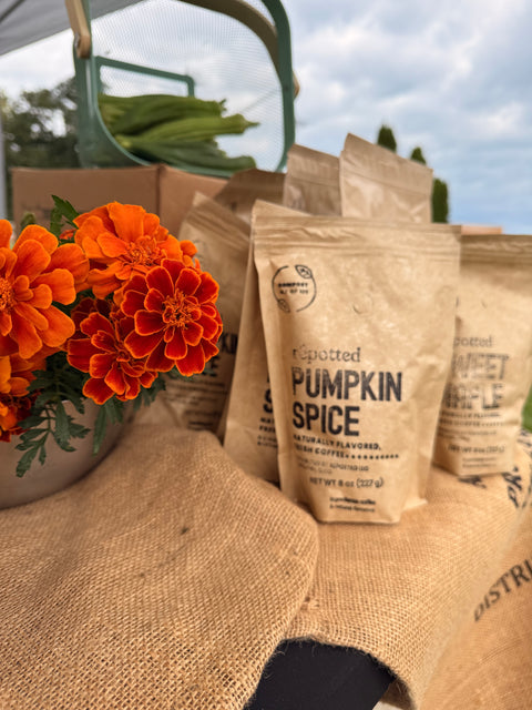 Pumpkin Spice • Naturally Flavored Compostable Coffee