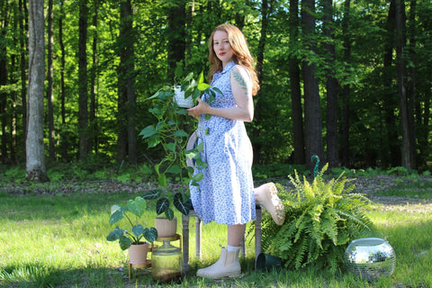Why I Started repotted. - repotted