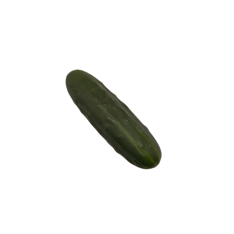 Heirloom Cucumbers