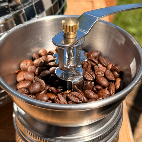 Sunrise Roast • Compostable Morning Coffee