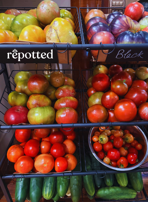 Heirloom Tomatoes